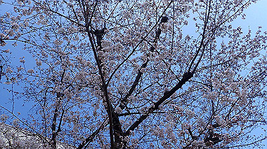 p3270169_thumb.jpg