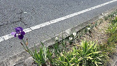 p3270180_thumb.jpg