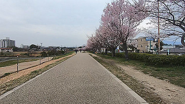 gx015913.mp4_snapshot_00.50_thumb.jpg