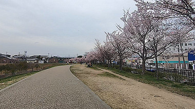 gx015913.mp4_snapshot_01.16_thumb.jpg