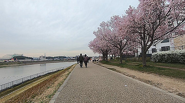 gx015913.mp4_snapshot_02.43_thumb.jpg