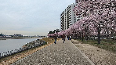 gx015913.mp4_snapshot_03.10_thumb.jpg