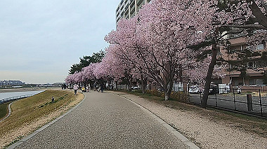 gx015913.mp4_snapshot_03.23_thumb.jpg