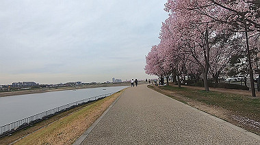 gx015913.mp4_snapshot_03.53_thumb.jpg