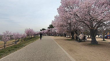 gx015913.mp4_snapshot_04.24_thumb.jpg