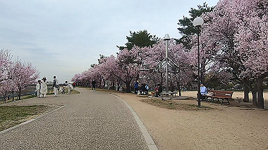 gx015913.mp4_snapshot_04.32_thumb.jpg