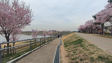 gx015913.mp4_snapshot_04.39_thumb.jpg