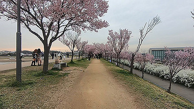 gx015913.mp4_snapshot_08.25_thumb.jpg