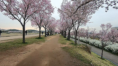 gx015913.mp4_snapshot_08.44_thumb.jpg