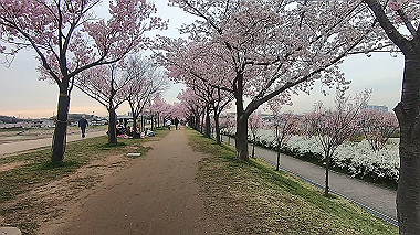 gx015913.mp4_snapshot_08.51_thumb.jpg