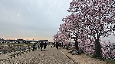 gx015913.mp4_snapshot_09.37_thumb.jpg
