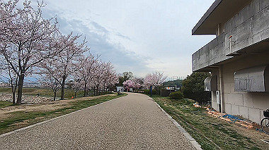 gx015914.mp4_snapshot_00.00_thumb.jpg