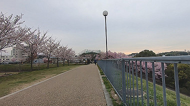 gx015914.mp4_snapshot_01.24_thumb.jpg