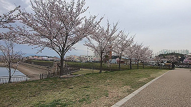 gx015914.mp4_snapshot_01.31_thumb.jpg