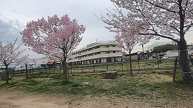 gx015914.mp4_snapshot_02.28_thumb.jpg
