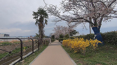 gx015915.mp4_snapshot_01.38_thumb.jpg