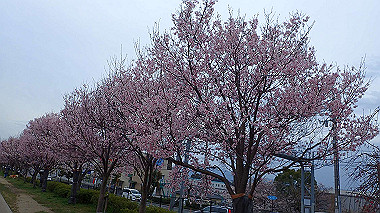 p3290001_thumb.jpg