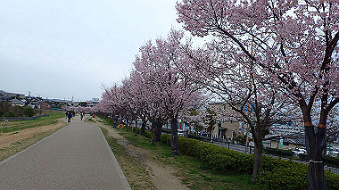 p3290002_thumb.jpg