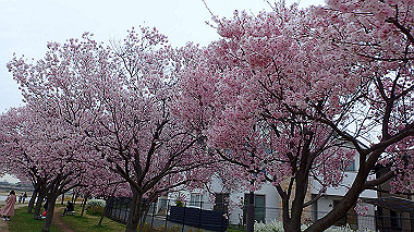 p3290005_thumb.jpg