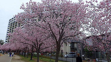 p3290007_thumb.jpg