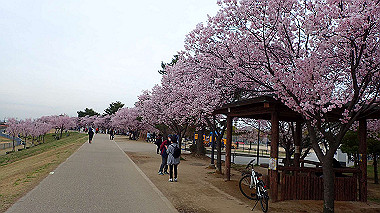 p3290011_thumb.jpg