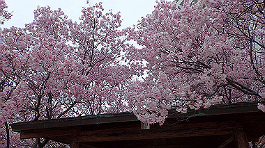 p3290012_thumb.jpg