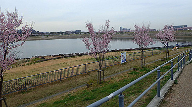 p3290013_thumb.jpg