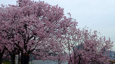 p3290019_thumb.jpg