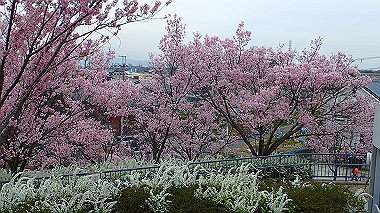 p3290021_thumb.jpg