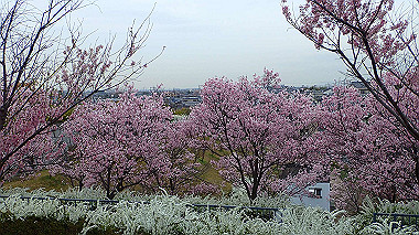 p3290022_thumb.jpg