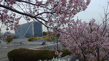 p3290023_thumb.jpg