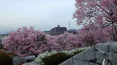 p3290024_thumb.jpg
