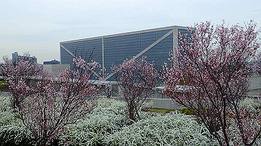 p3290027_thumb.jpg