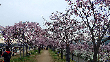p3290028_thumb.jpg