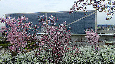 p3290030_thumb.jpg