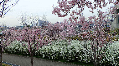 p3290032_thumb.jpg