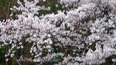 p3290039_thumb.jpg