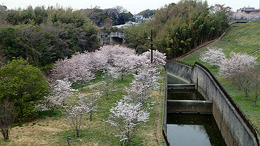 p3290041_thumb.jpg