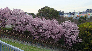 p3290042_thumb.jpg