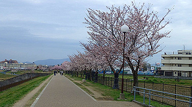 p3290043_thumb.jpg