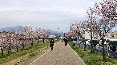 p3290044_thumb.jpg
