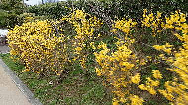 p3290053_thumb.jpg