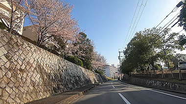 gx015917.mp4_snapshot_00.33_thumb.jpg