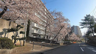 gx015917.mp4_snapshot_00.55_thumb.jpg