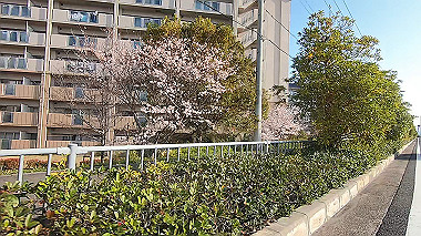 gx015918.mp4_snapshot_00.20_thumb.jpg