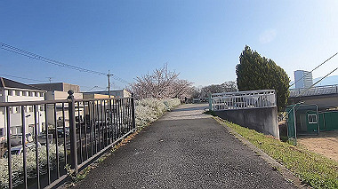 gx015919.mp4_snapshot_00.00_thumb.jpg