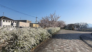 gx015919.mp4_snapshot_00.02_thumb.jpg
