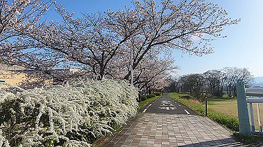 gx015919.mp4_snapshot_00.09_thumb.jpg