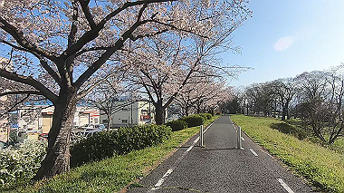 gx015919.mp4_snapshot_00.15_thumb.jpg