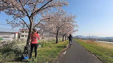 gx015919.mp4_snapshot_00.39_thumb.jpg